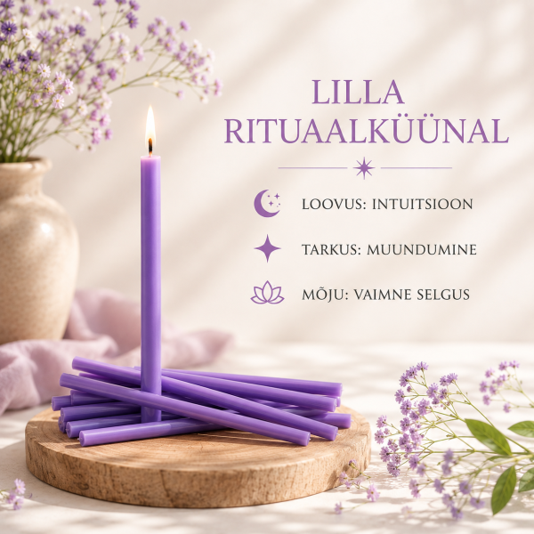 ChatGPT Image 26. juuli 2026, 10_14_48.png