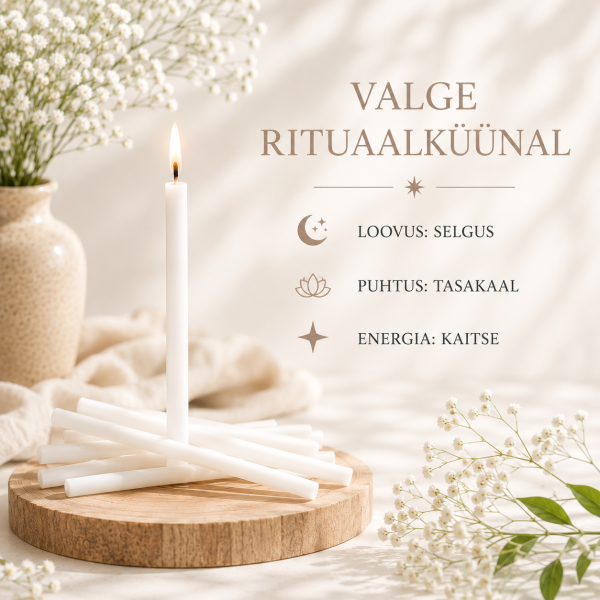 ChatGPT Image 26. juuli 2026, 10_23_23.png