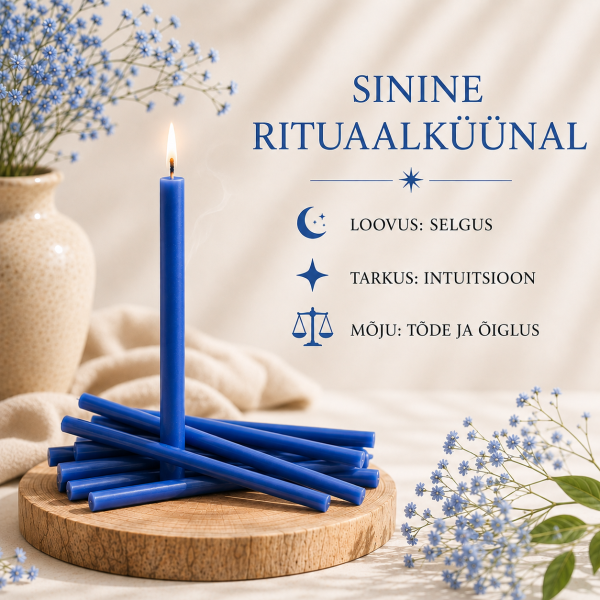 ChatGPT Image 26. juuli 2026, 10_44_30.png