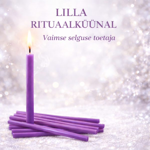 ChatGPT Image 26. märts 2026, 10_39_34.png