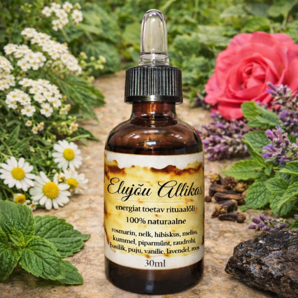 ChatGPT Image 29. jaan 2026, 19_33_35.png