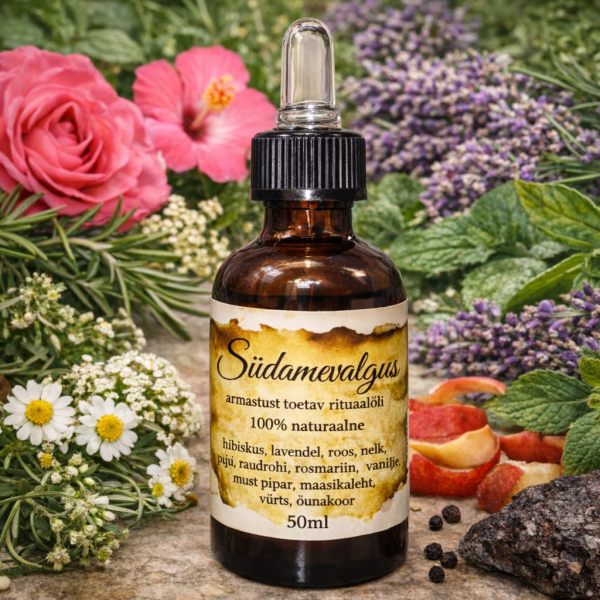 ChatGPT Image 29. jaan 2026, 19_48_32.png