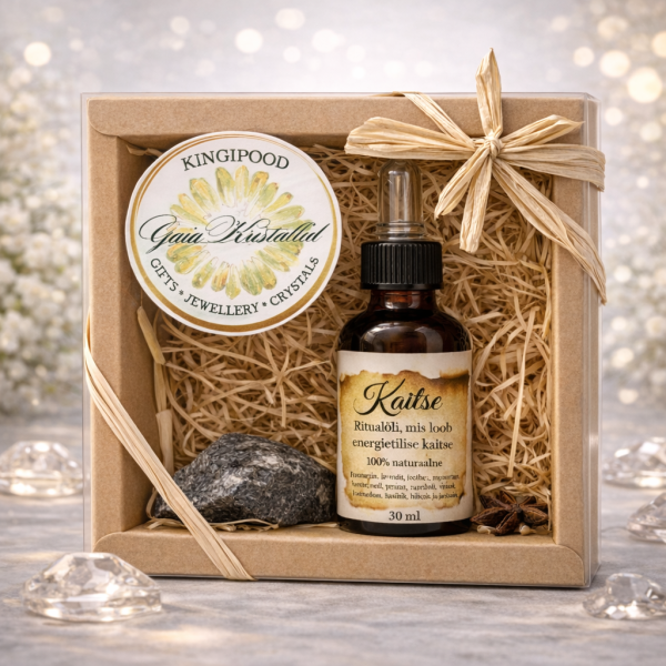 ChatGPT Image 29. jaan 2026, 21_06_07.png