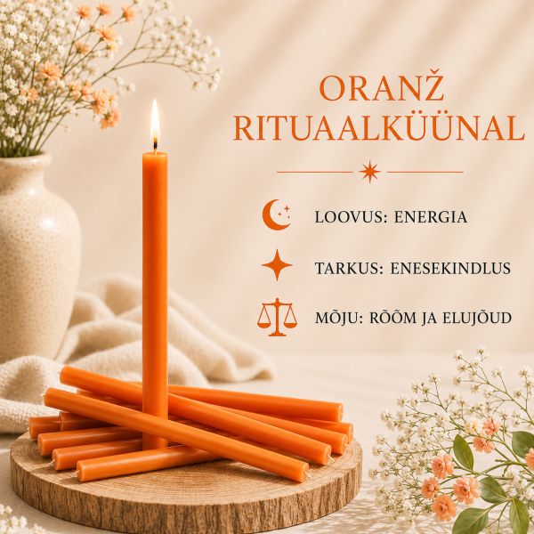 ChatGPT Image 30. juuli 2026, 19_58_50.png