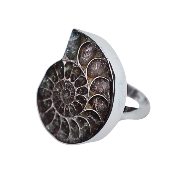 Fossiil sõrmus Hõbe 925 (1).png