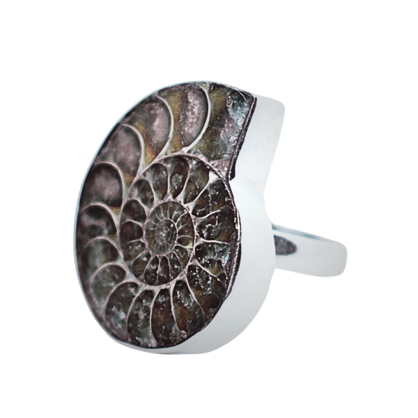 Fossiil sõrmus Hõbe 925 (4).png