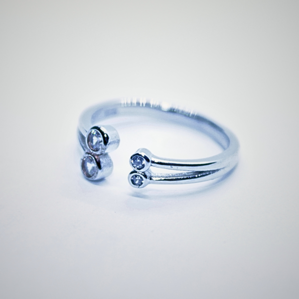 Tsirkoon sõrmus (8).png