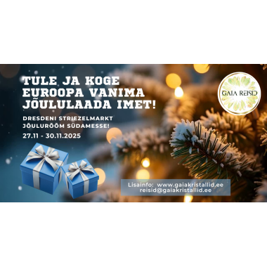 Jõulud Dresdenis (3).png