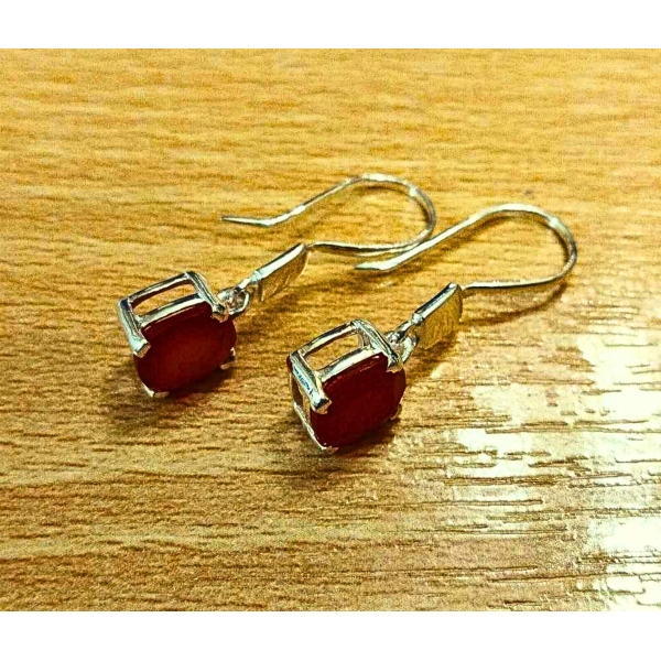 Karneool kõrvarõngad 925 (1).png