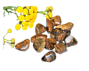 Kuldne Pietersiit trummelkivi