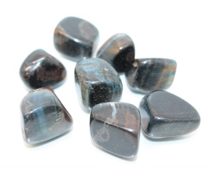 Sinine Tiigrisilm / Kullisilm