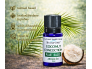Coconut Concoction  aroomiõli (1).png