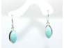 Larimar kõrvarõngad (1).png